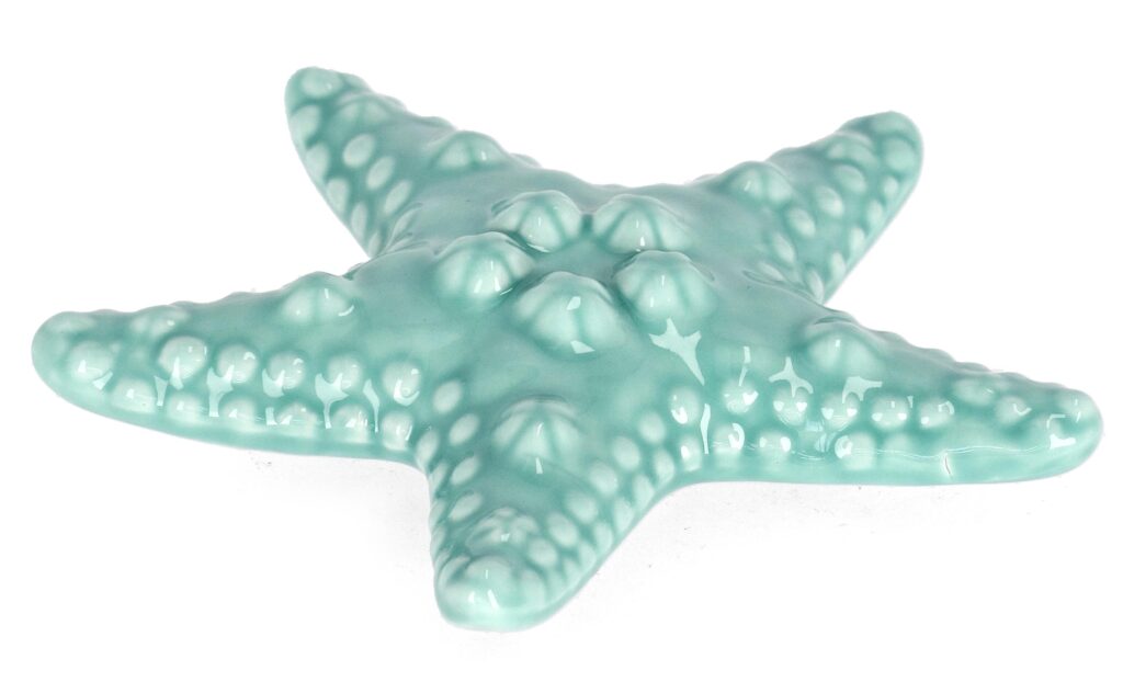 Stella marina Turchese