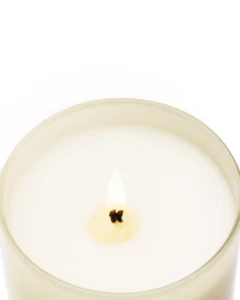 Candela Premium 230GR. Black Orchid & Lily