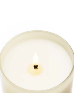 Candela Premium 230GR. Velvet Wood